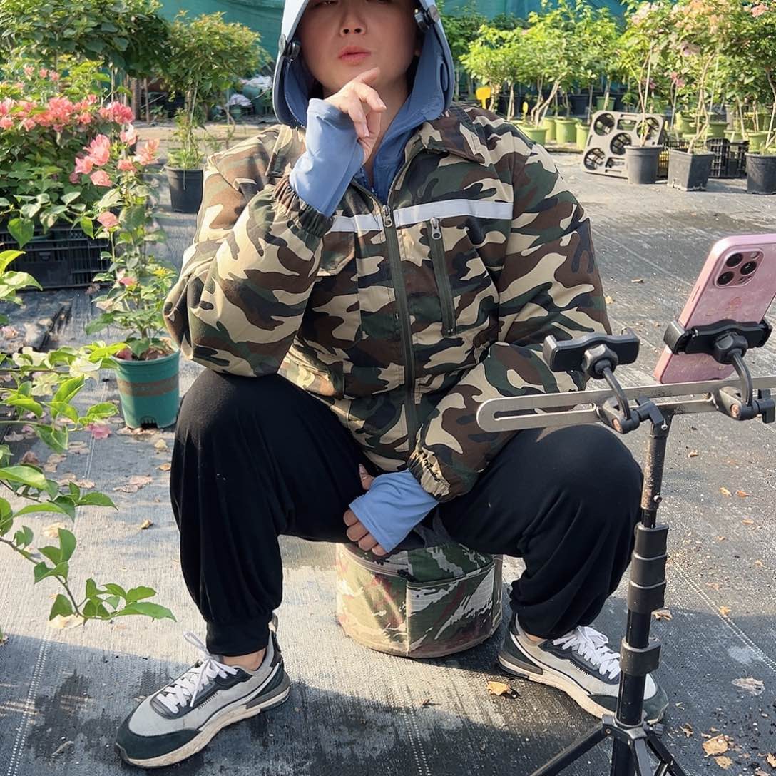 大部分开放少量花苞三角梅掌中宝一棵2号