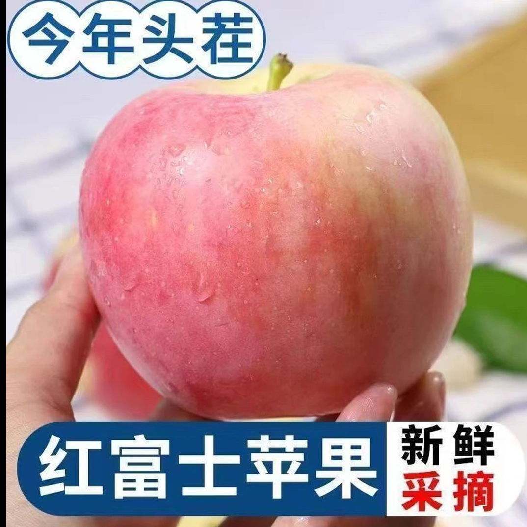陕西红田富士脆甜苹果 香甜多汁新鲜 现摘当季应季水果