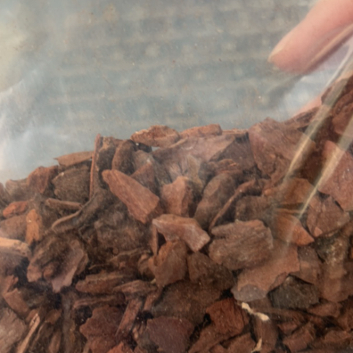 进口新西兰树皮 椎名专用 随单发