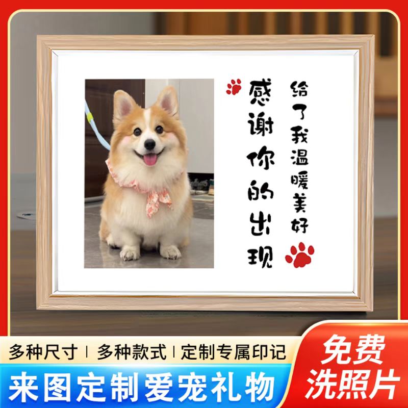 宠物相册定金链接
