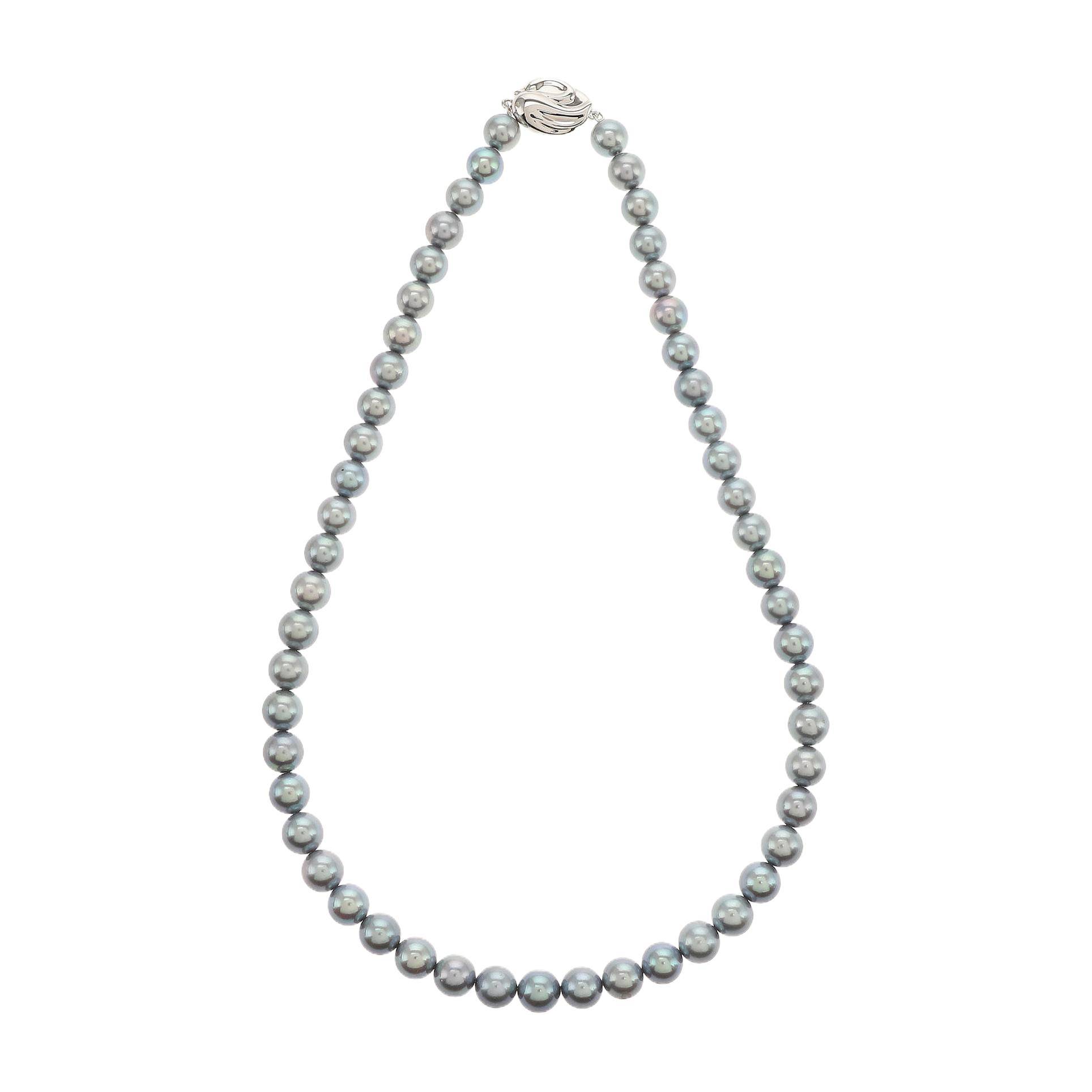 红布林/C1/塔思琦/37328758/z/122156