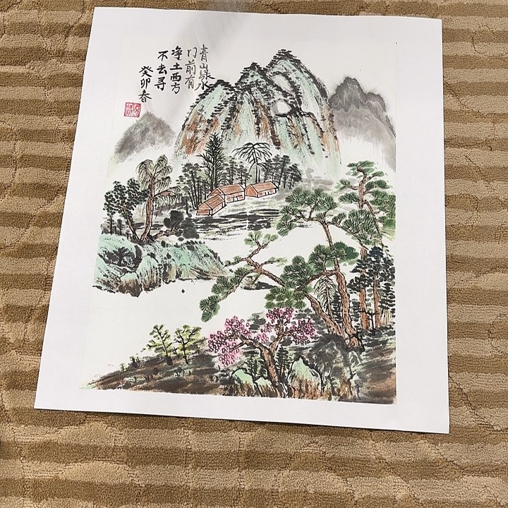 国画花鸟的翅膀是一只35.45