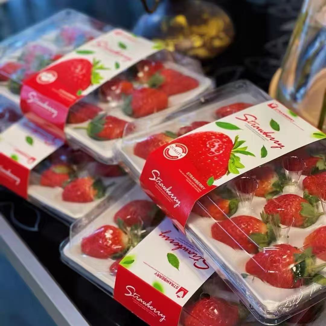 s【顺丰礼盒】四川大凉山露天奶油草莓新鲜现摘孕妇水果