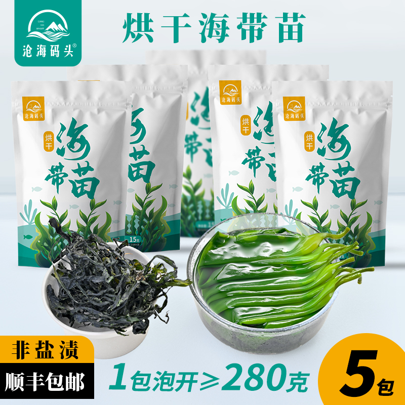 【5包】沧海码头海带苗烘干锁鲜不加盐霞浦海带嫩苗凉拌火锅煲汤