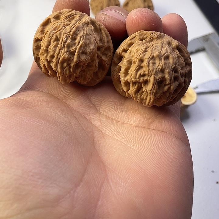 文玩核桃吊坠28龙眼40尺寸