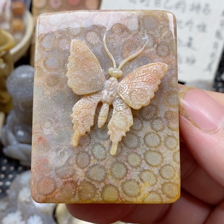 颈饰未镶嵌硅化珊瑚（珊瑚玉）