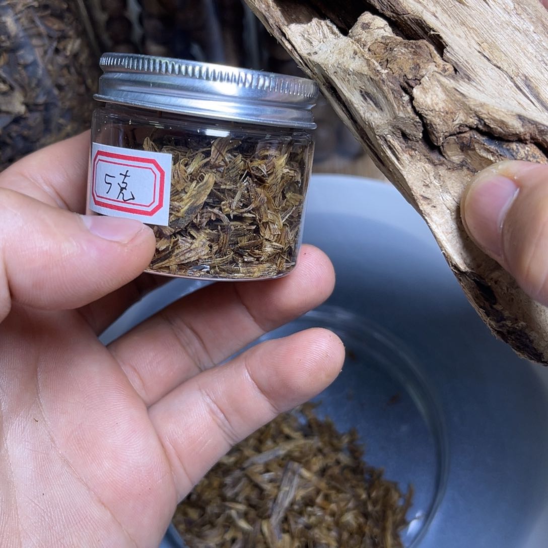 香榧木海南种植糖结金丝绿奇5克