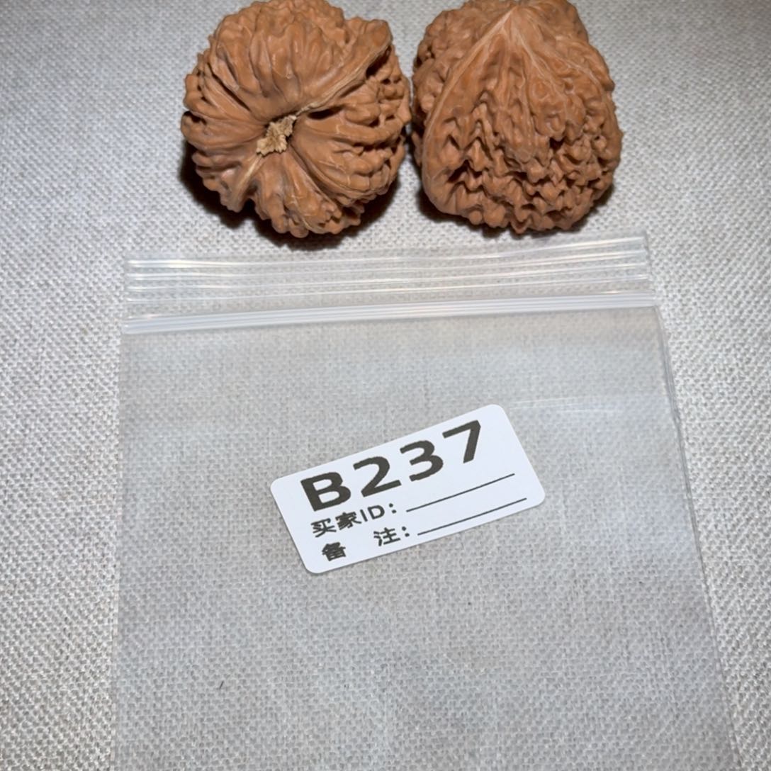 文玩核桃吊坠凹底237