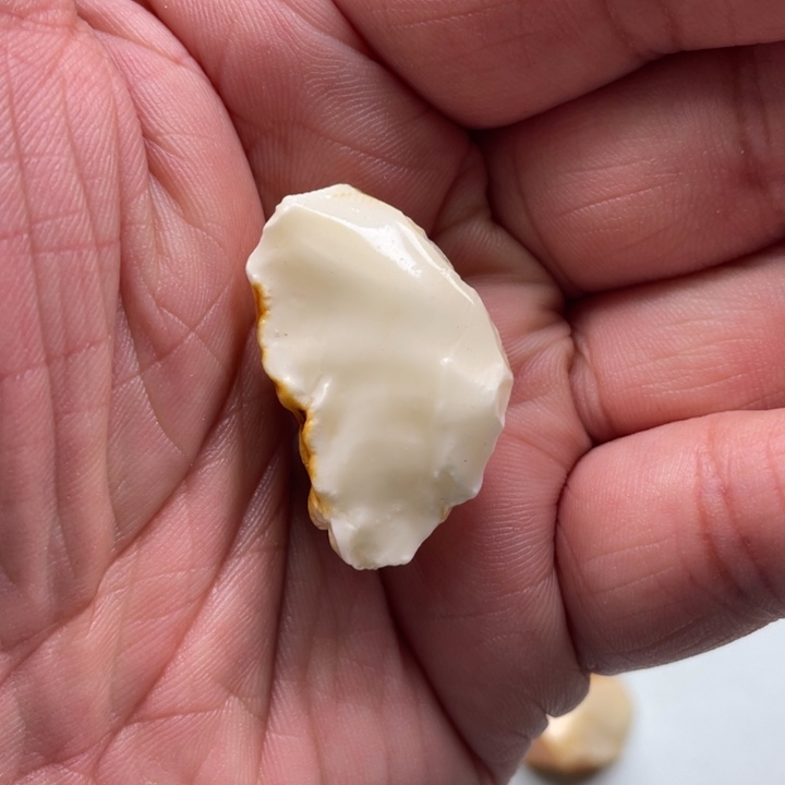 定制琥珀未镶嵌琥珀蜜蜡原石定制