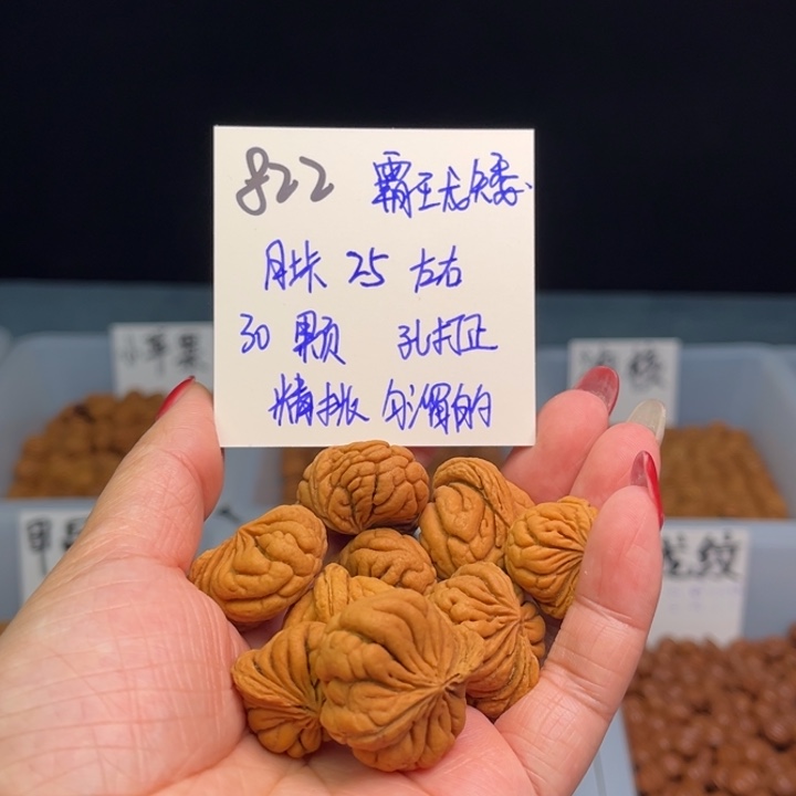 桃核手串定*。霸王龙矮25尺寸