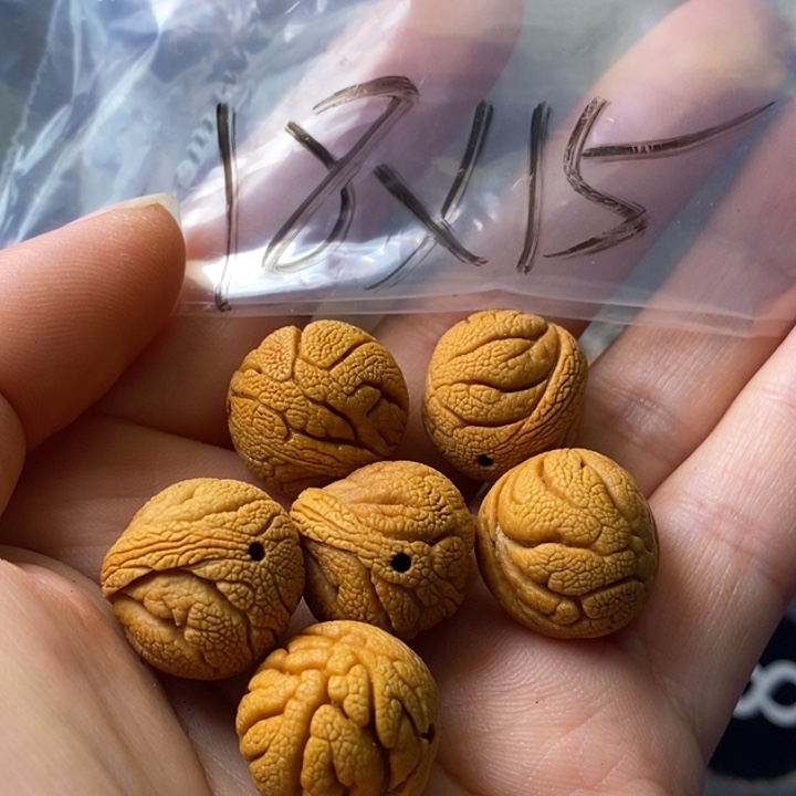 手串文玩核桃秦岭野生龙纹桃核18