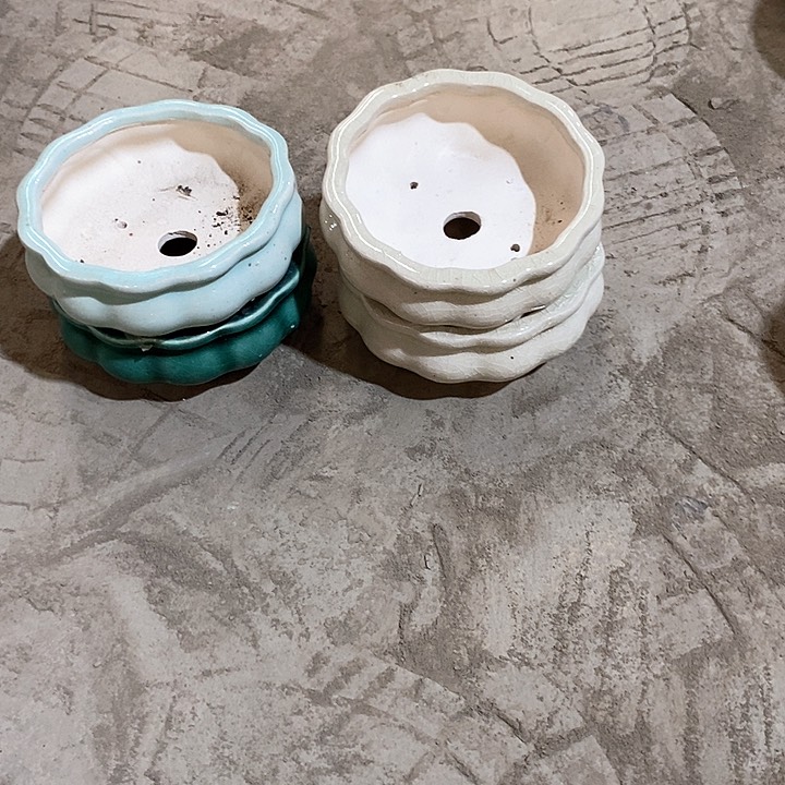 红陶正品高4口11