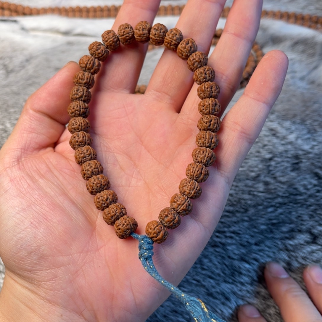 州***州金刚菩提把件1.0老树王