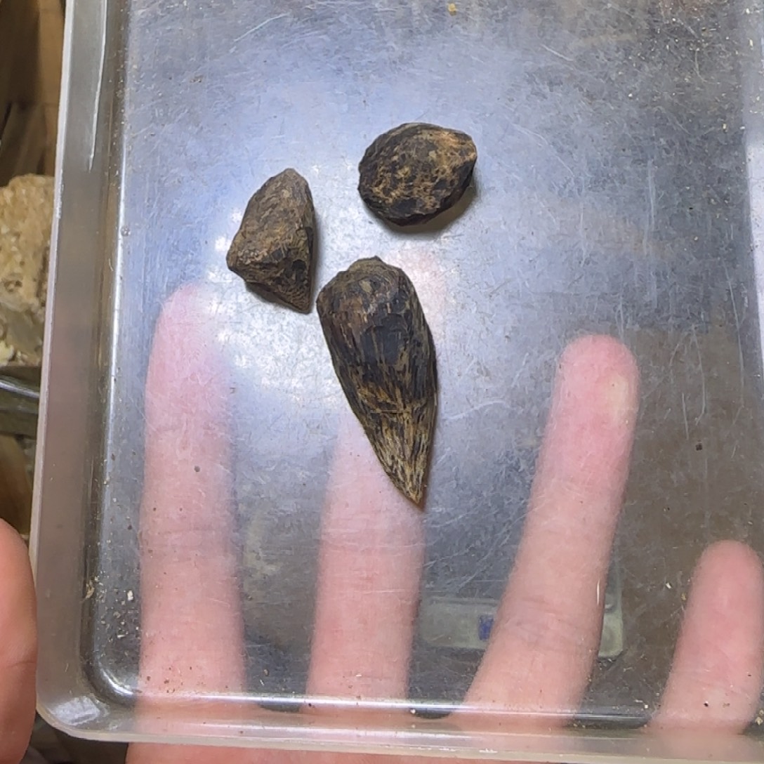 人***欢线香精品树丁发一份