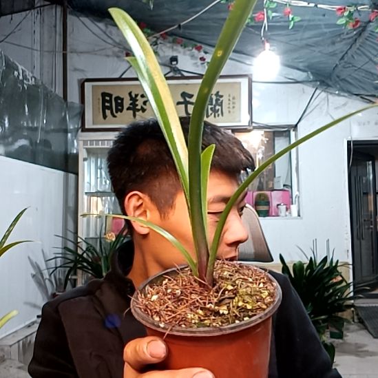 @小石头39一颗！！！！