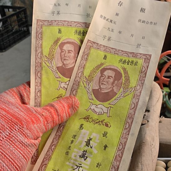 用***7衣服啊啊啊啊啊啊啊啊