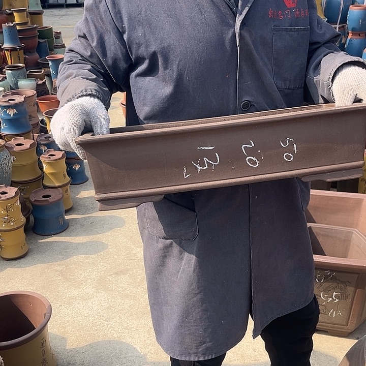 紫砂紫砂花盆和一座宫殿中