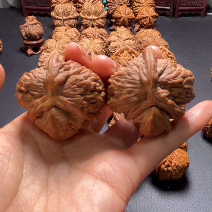 白狮子犀牛角43尺寸核桃哈哈哈哈哈哈