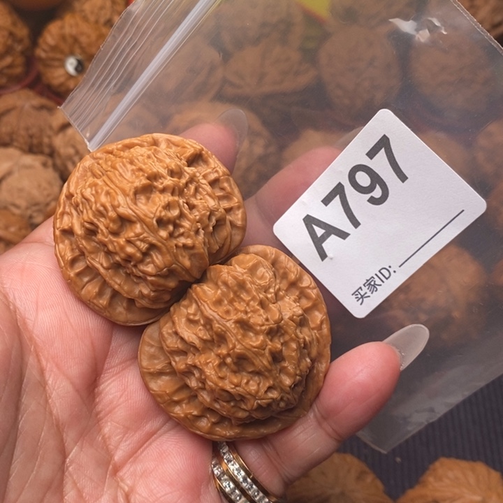 文玩核桃把件白狮子42尺797号