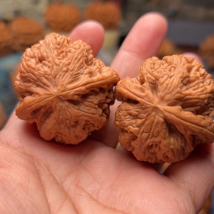 核桃40球体大粗筋大粗筋大粗筋