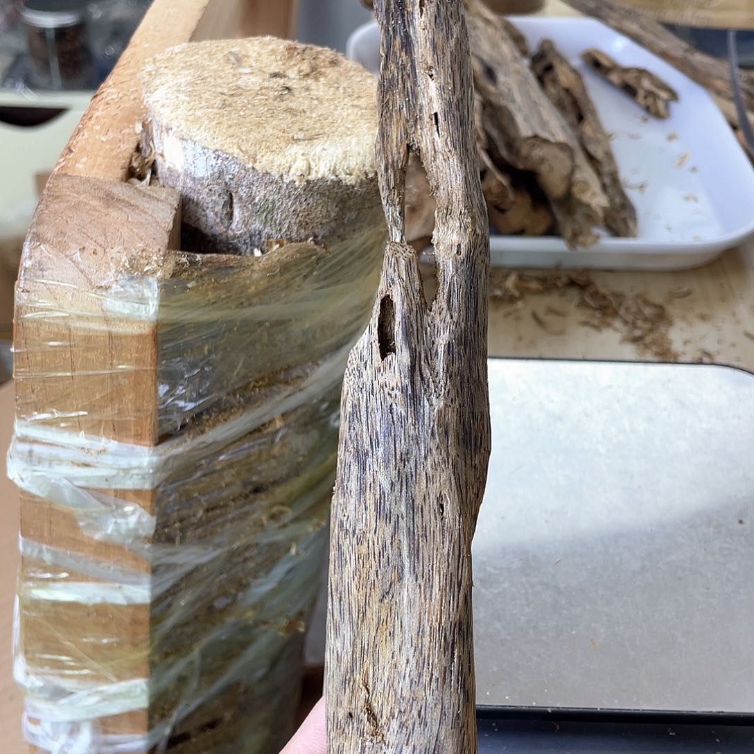 木绿奇楠原材料虫漏34克