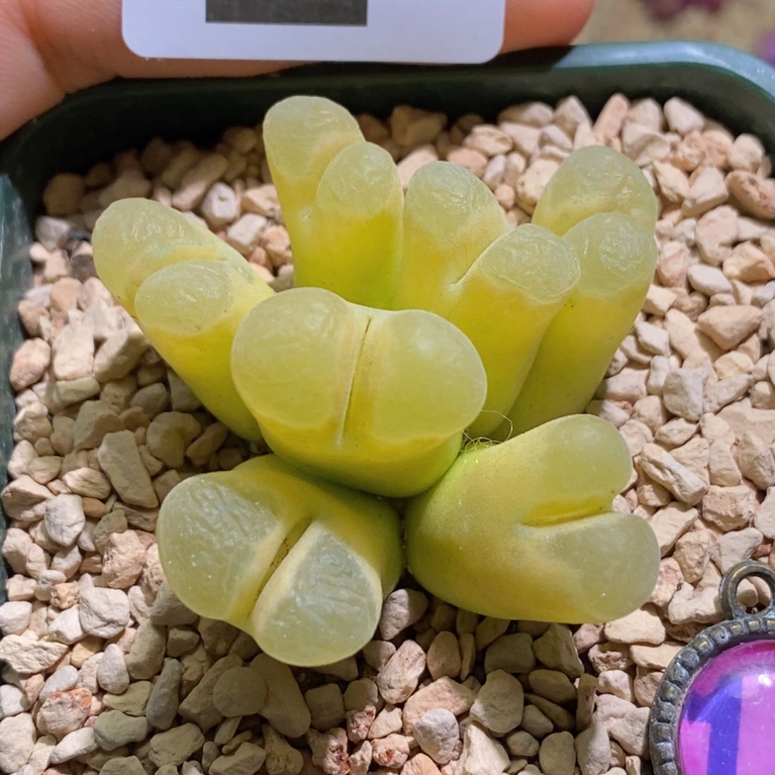 ?****?2-2352好看好看好看