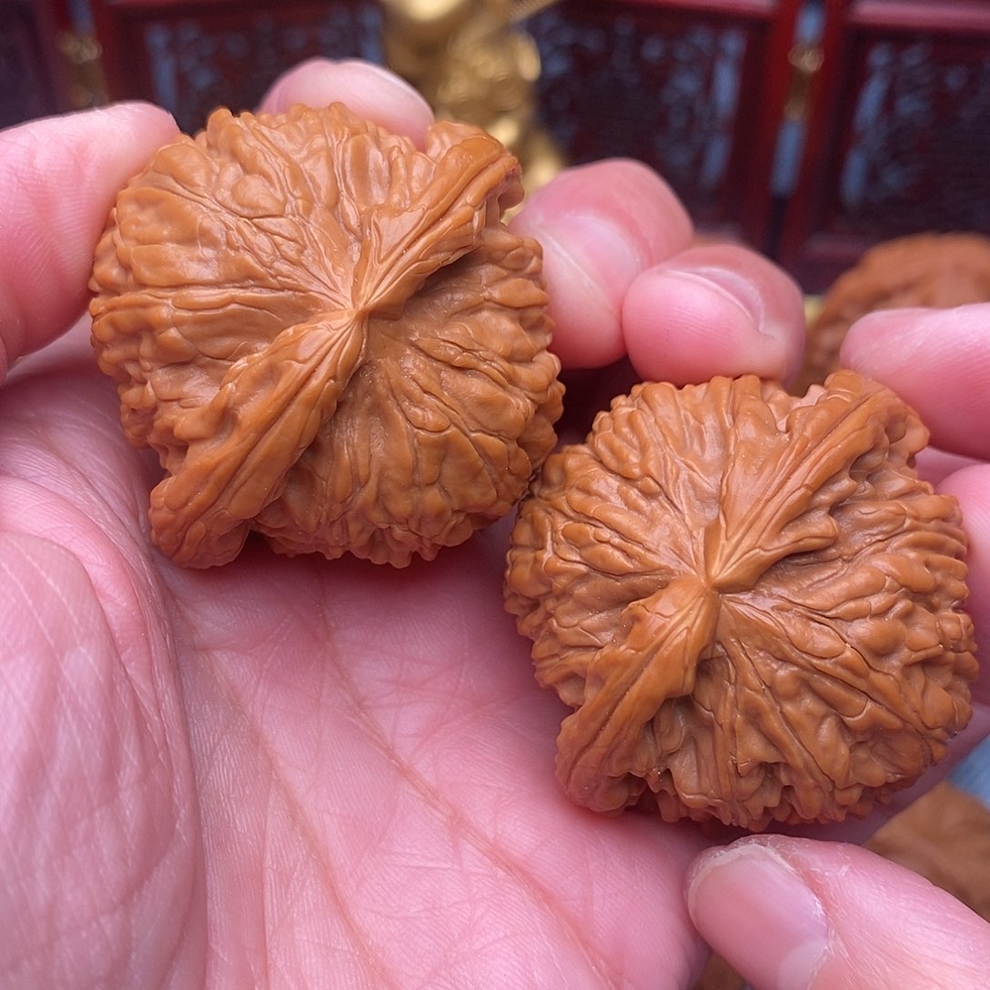 文玩核桃把件毕业白狮子43尺