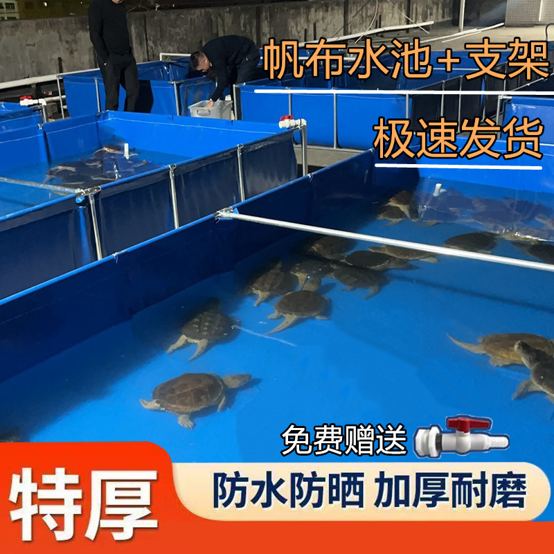 帆布鱼池带支架一整套巨厚养鱼水箱刀刮布户外室内养鱼蓄水池