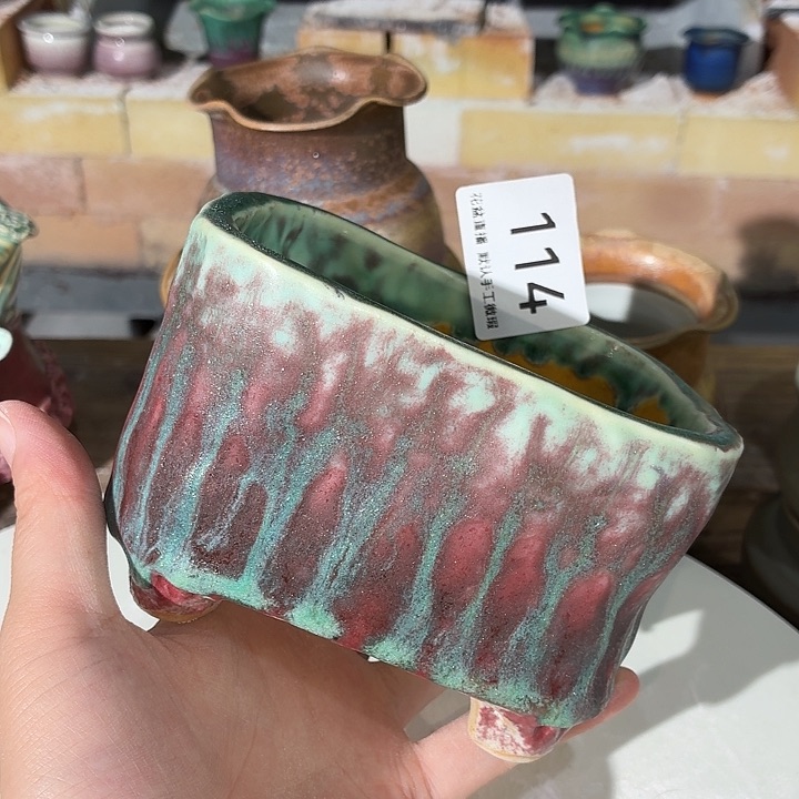 花盆花盆花盆花盆花盆