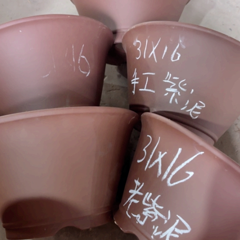 100-5。          31-16