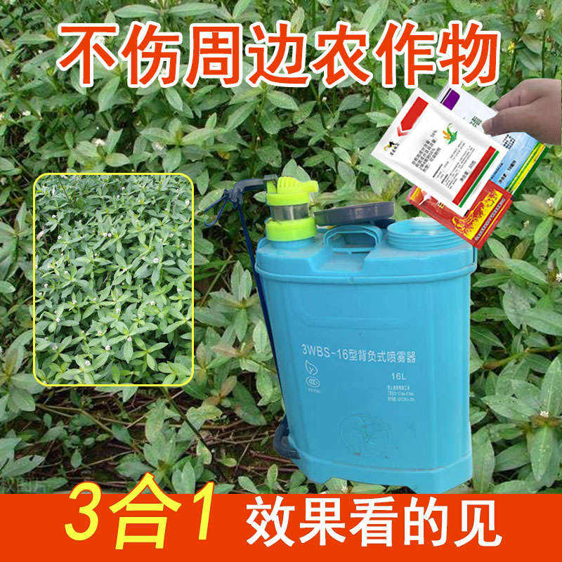 水花生专用不伤农作物水花生升级版套装有机质水溶肥料