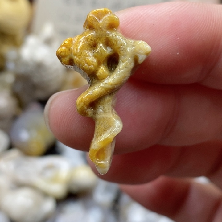 颈饰未镶嵌硅化珊瑚（珊瑚玉）小