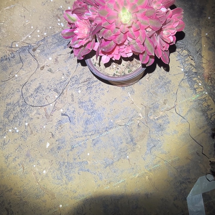 法师一物一拍链接9