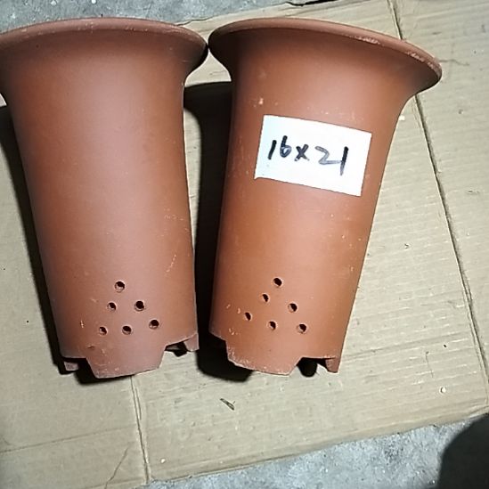 紫砂小红兰花两个