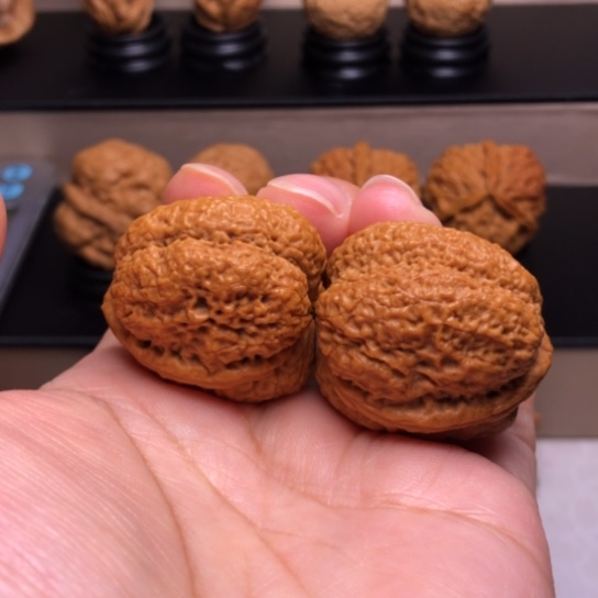 文玩核桃把件古树蚂蚁开背金蟾王17