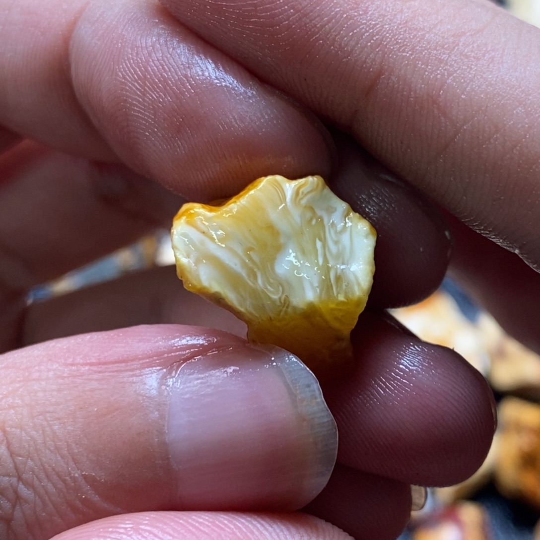 定制琥珀未镶嵌琥珀蜜蜡原石定制