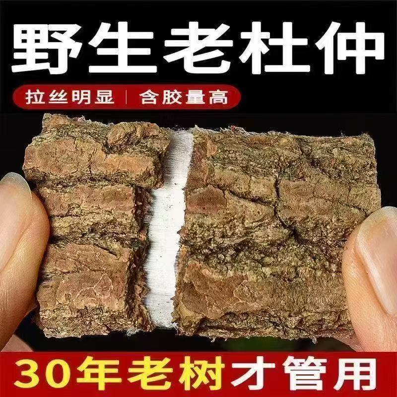 老树杜仲厚皮新货可煲汤泡茶泡酒滋补养生的好食材