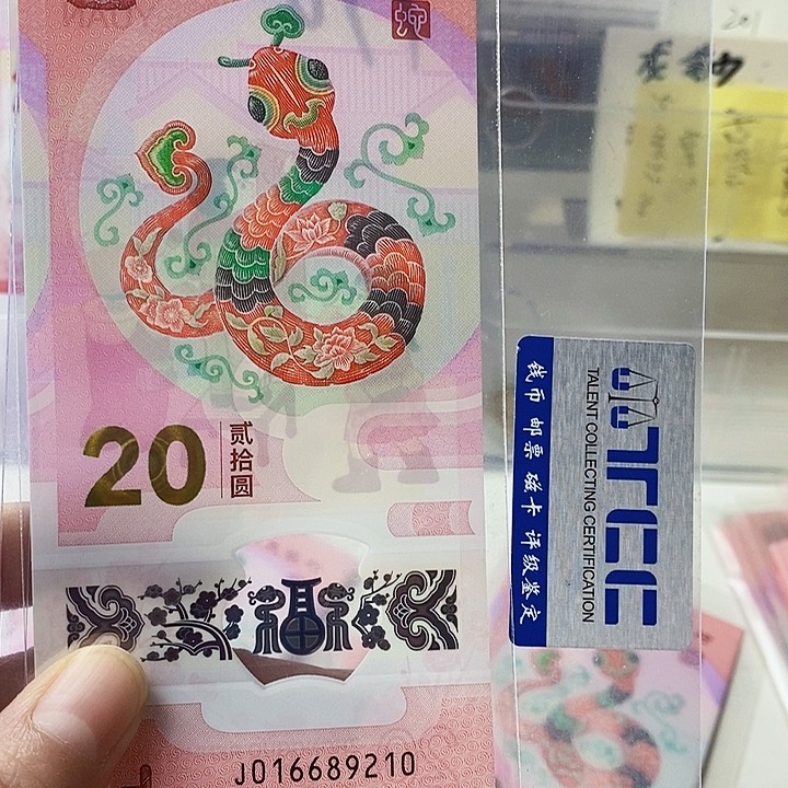 塑料蛇钞朦胧号016689210