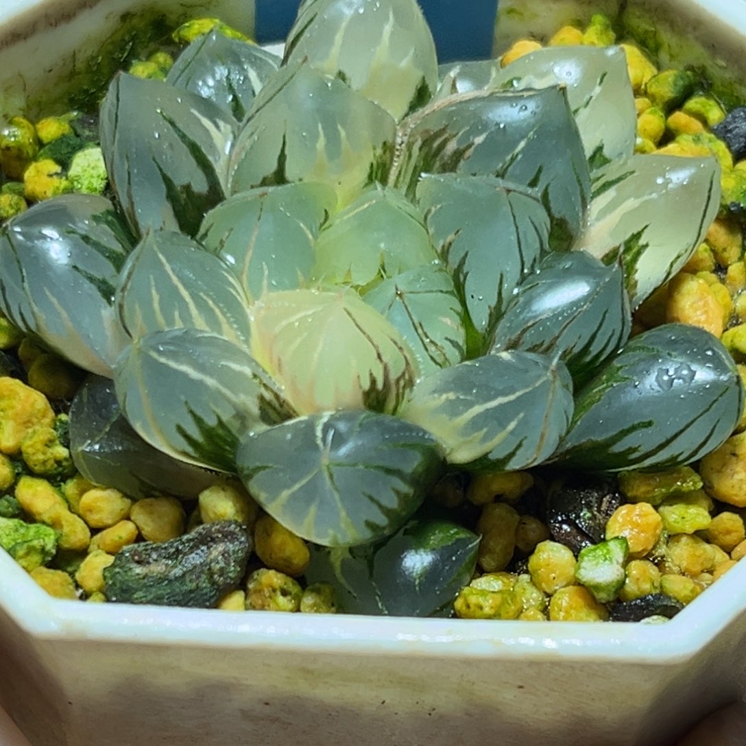 恭喜发财大吉大利719