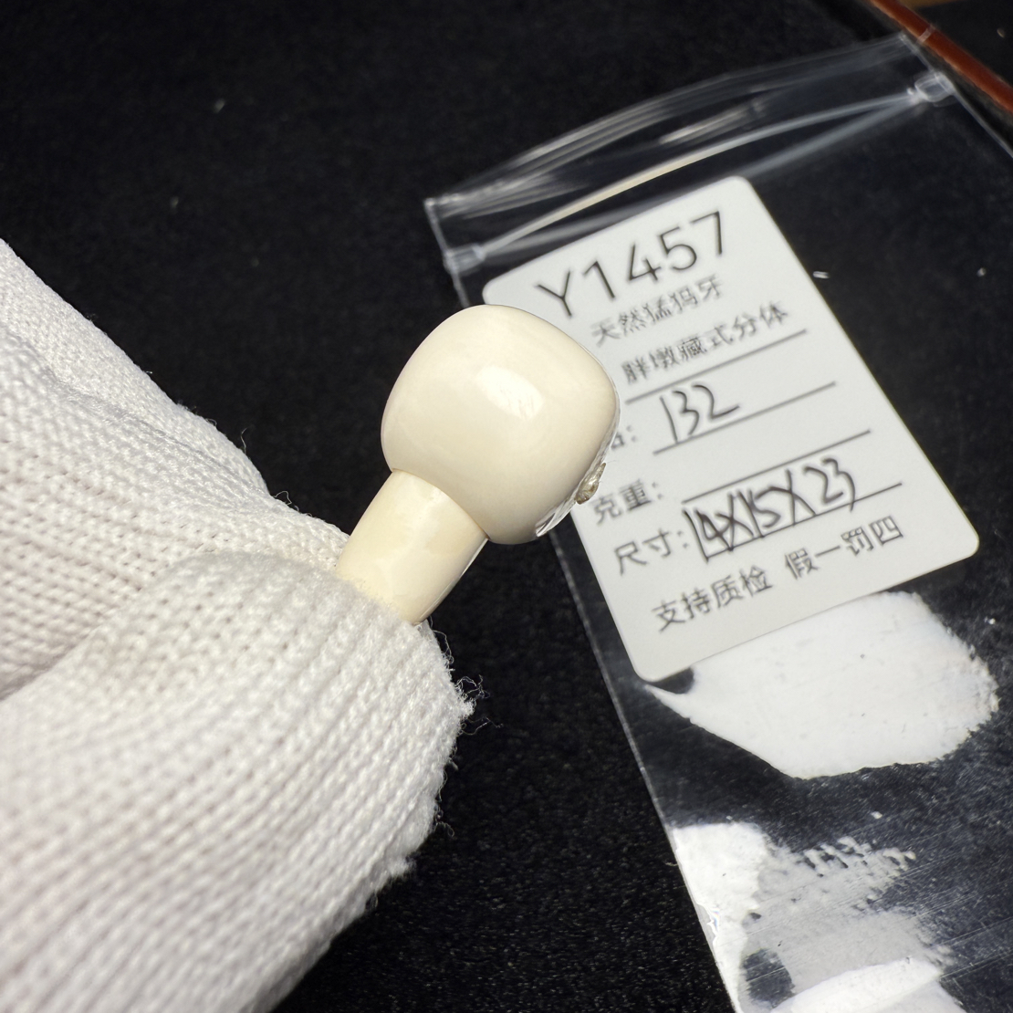 Y1457天然猛犸象牙藏式分体三通胖墩分体14*15*23mm水印特价