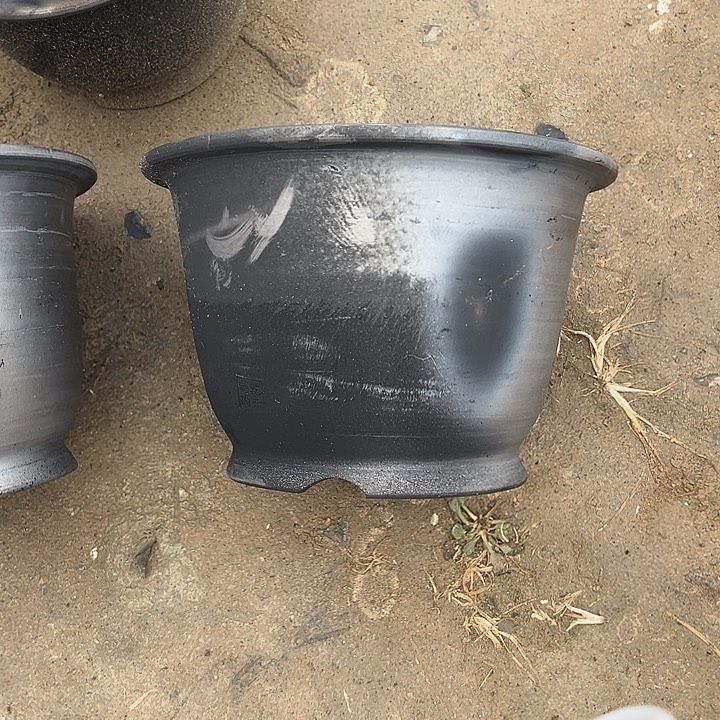 放漏金钟口径24高度15