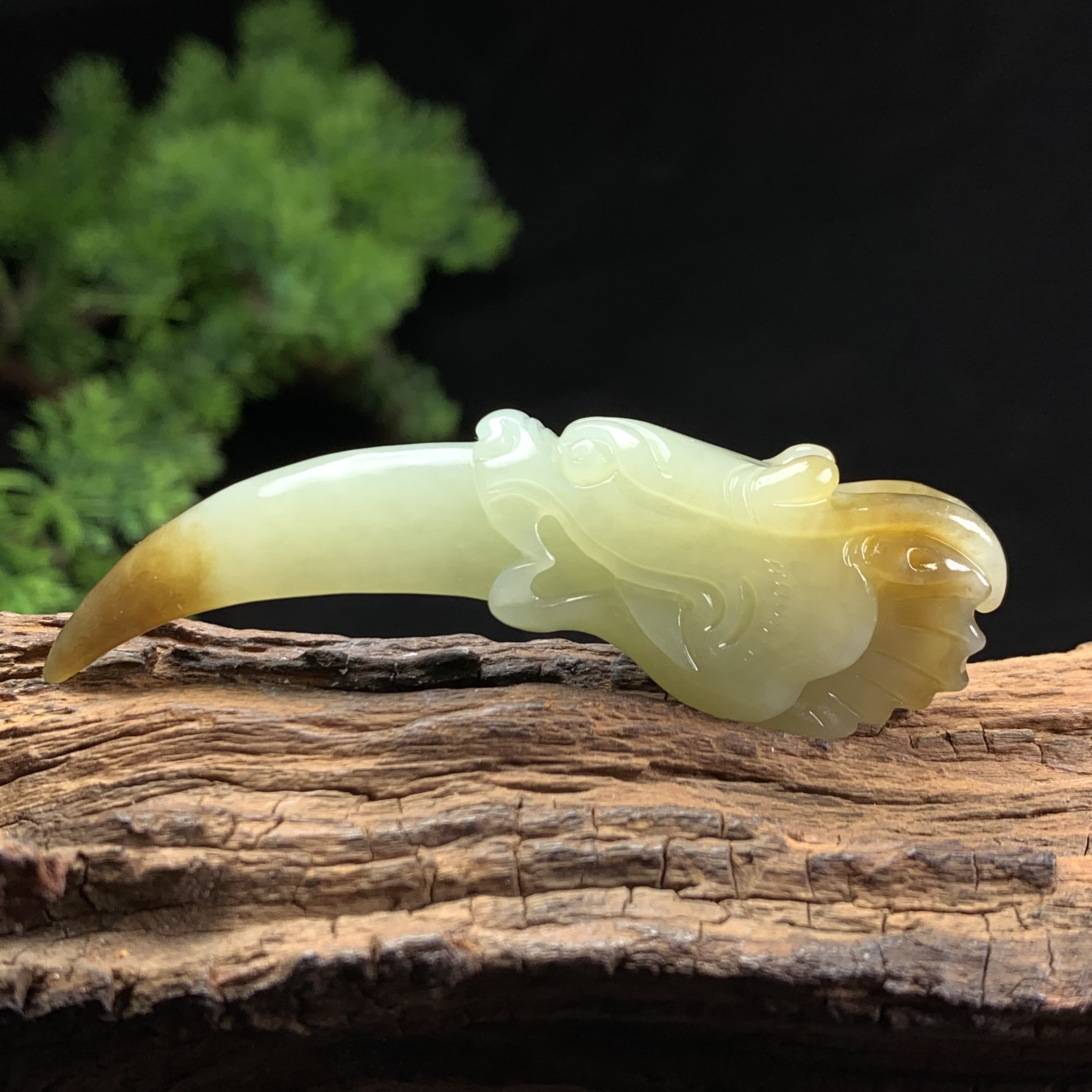 天然新疆和田玉龙牙吊坠尺寸72*20*13重量23克