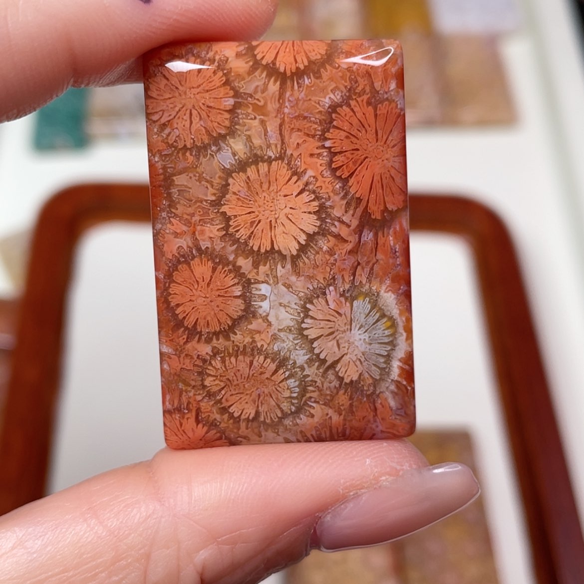 【闪购商品】未镶嵌吊坠(赠链)硅化玉L**※