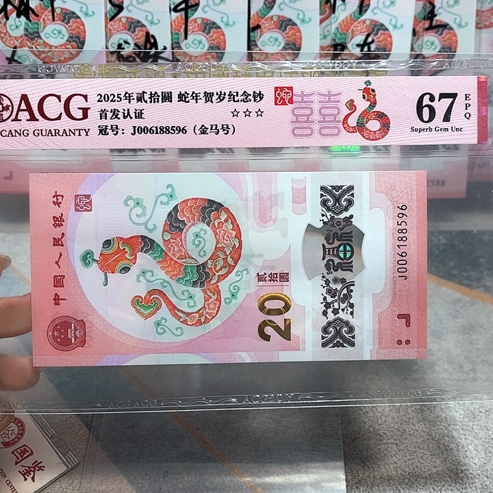 塑料006188596。。。。。金马号 单5