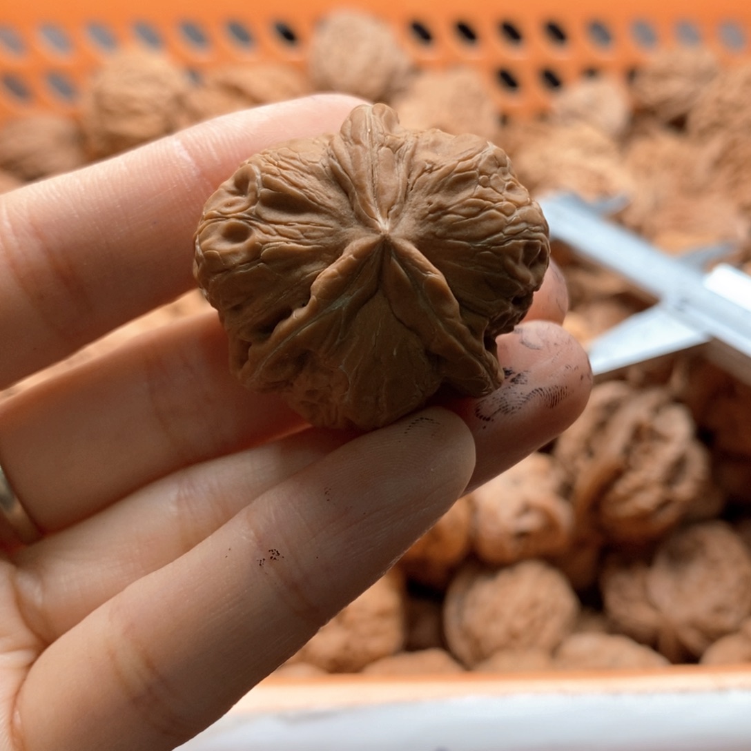 汤***儿核桃定制商品不退不换