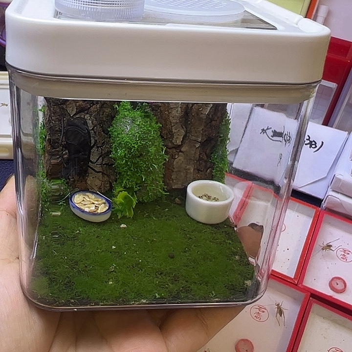 报套餐哈哈哈哈哈哈