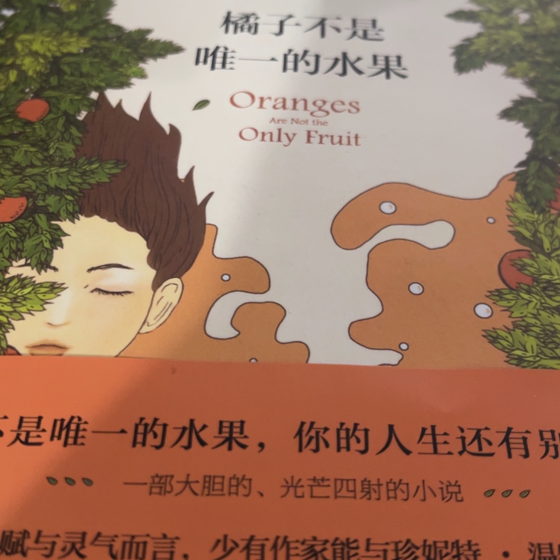 橘子不是唯一的水果精装
