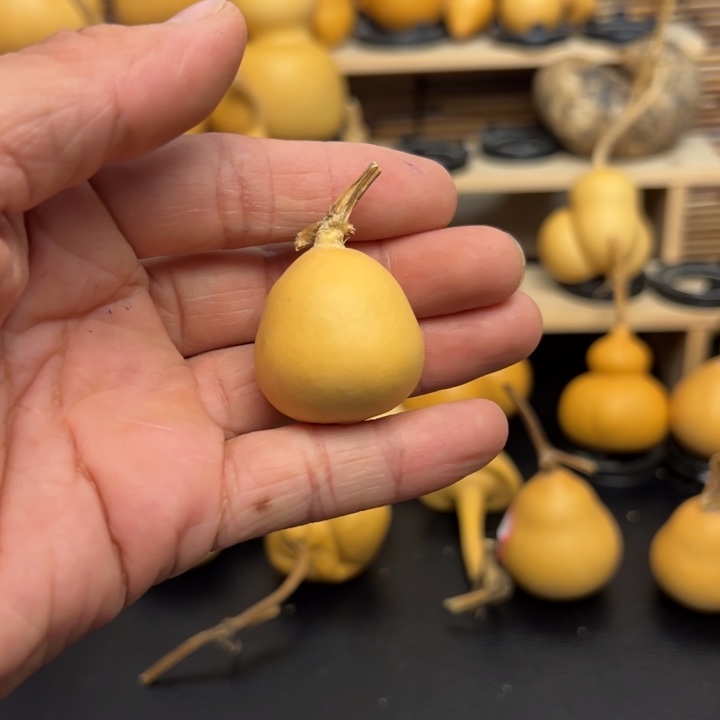 草***糖12566666666666