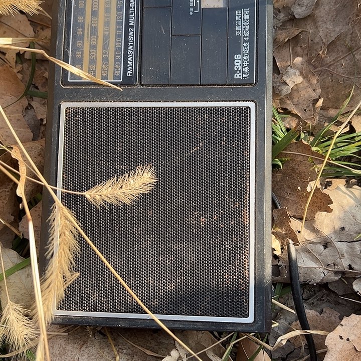 “***》非洲紫檀（红花梨）