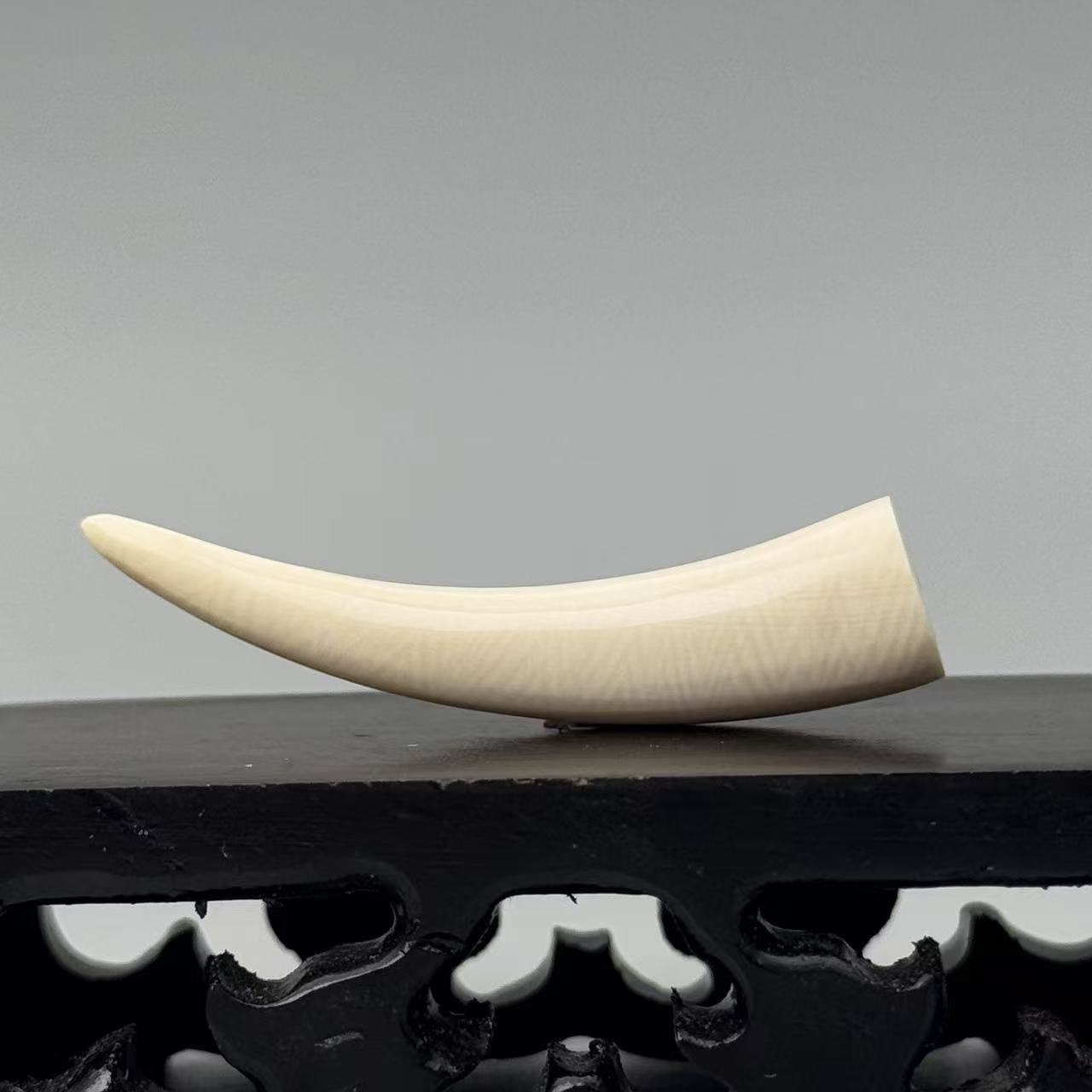 DEZHI/德志3.1g全肉牙尖48*10*10mm猛犸牙吊坠已打孔配吊坠绳K230